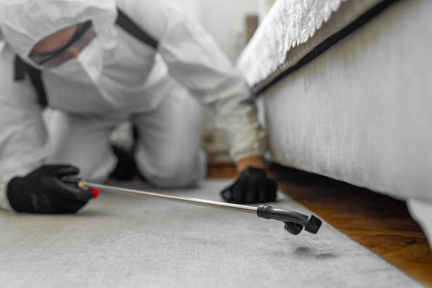 Professional Cockroach Control technician working in LaSalle, IL