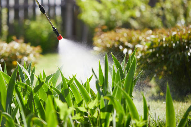24/7 Emergency Cockroach Control experts in LaSalle, IL